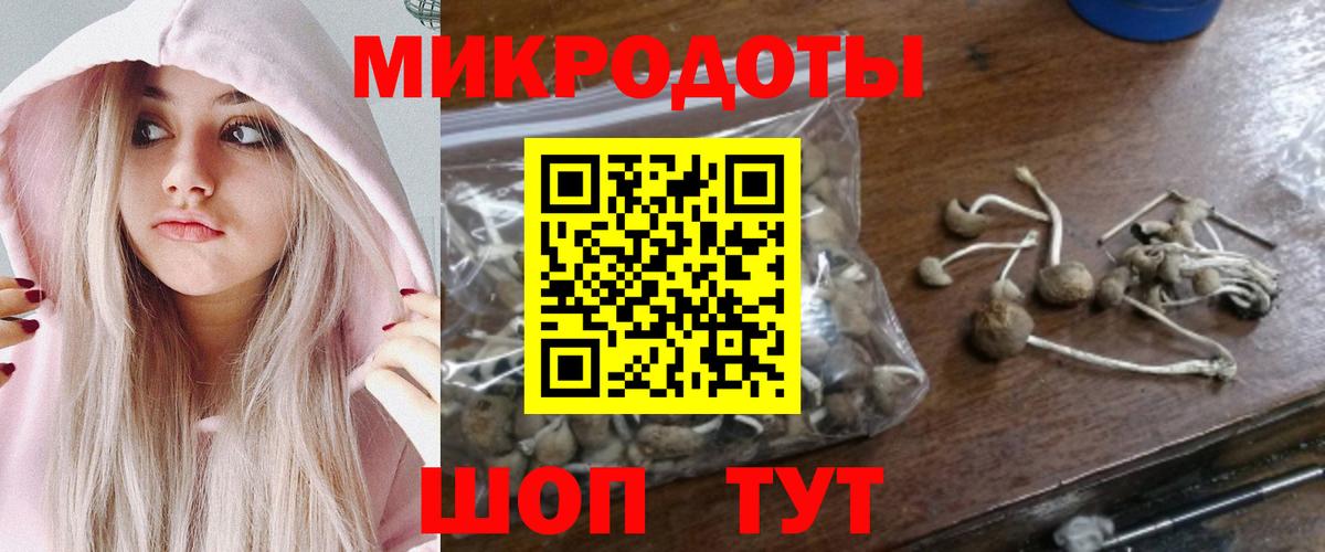Псилоцибиновые грибы GOLDEN TEACHER Чайковский