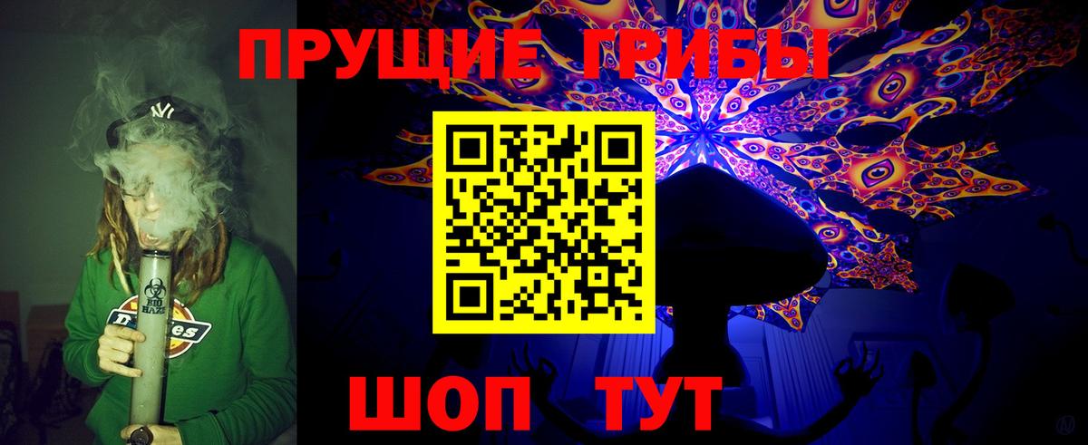 Псилоцибиновые грибы GOLDEN TEACHER  Галлюциногенные грибы GOLDEN TEACHER  Чайковский  Вход с VPN 